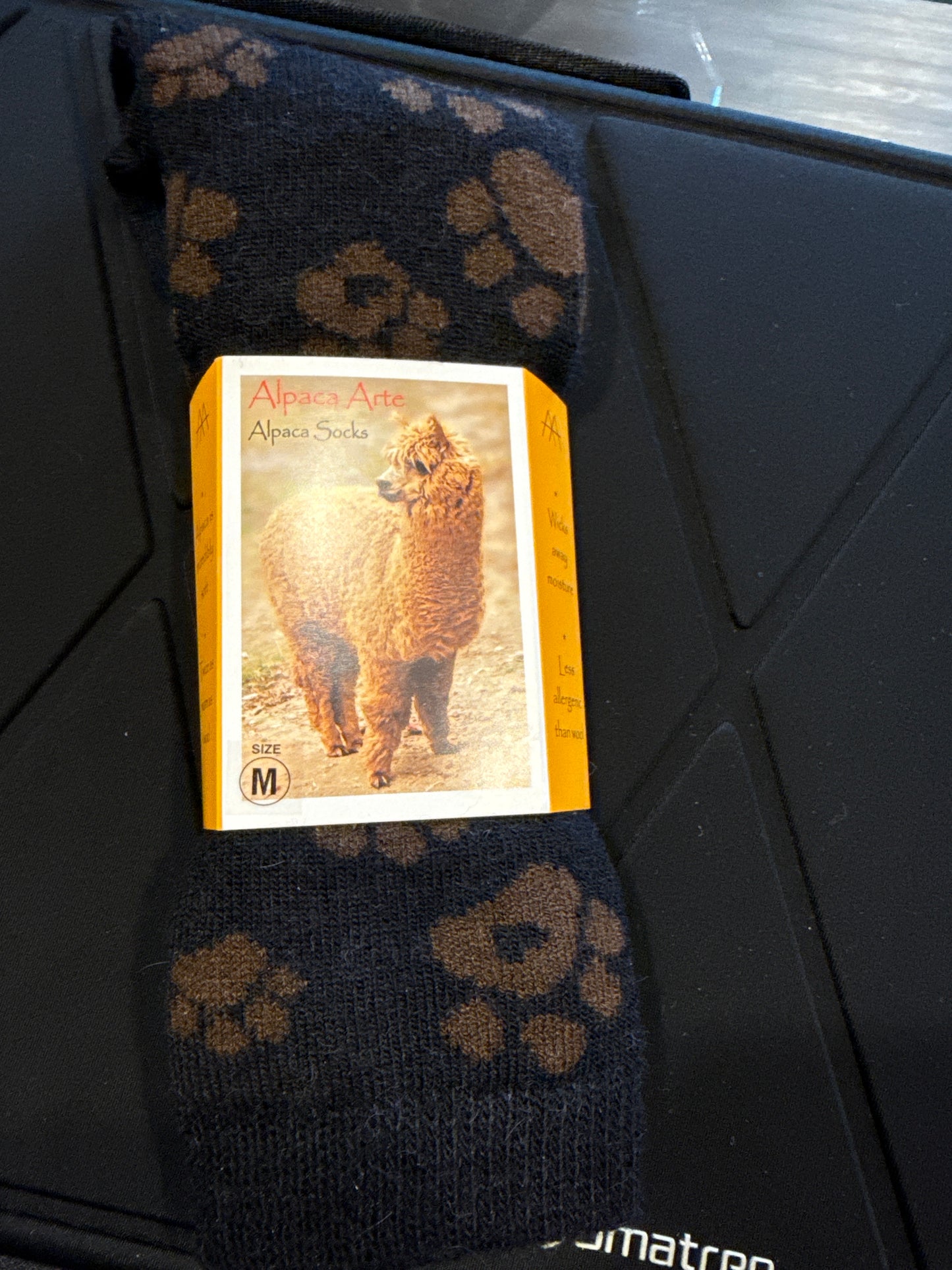 Alpaca Dog M