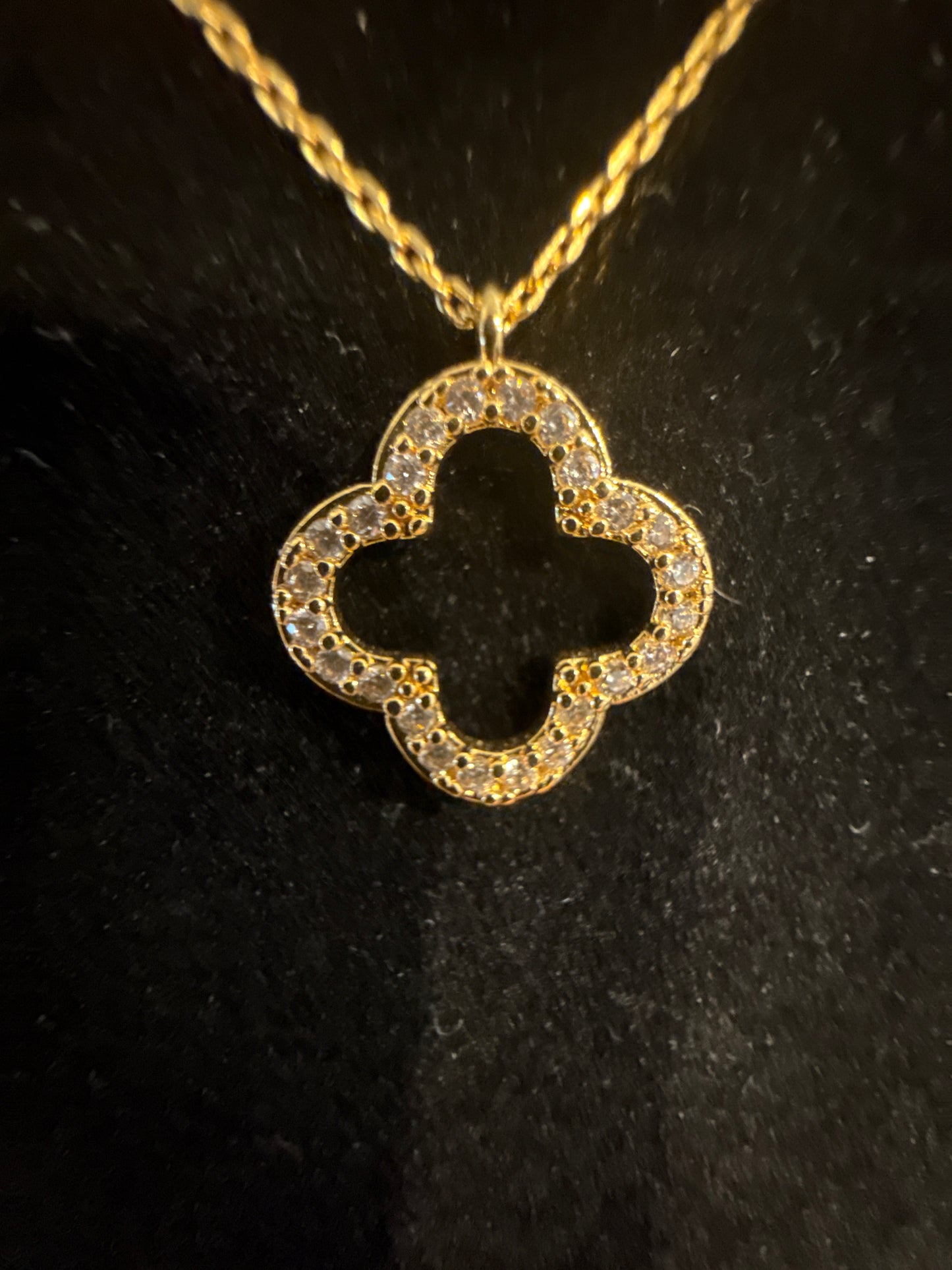 Gld CZ Clove