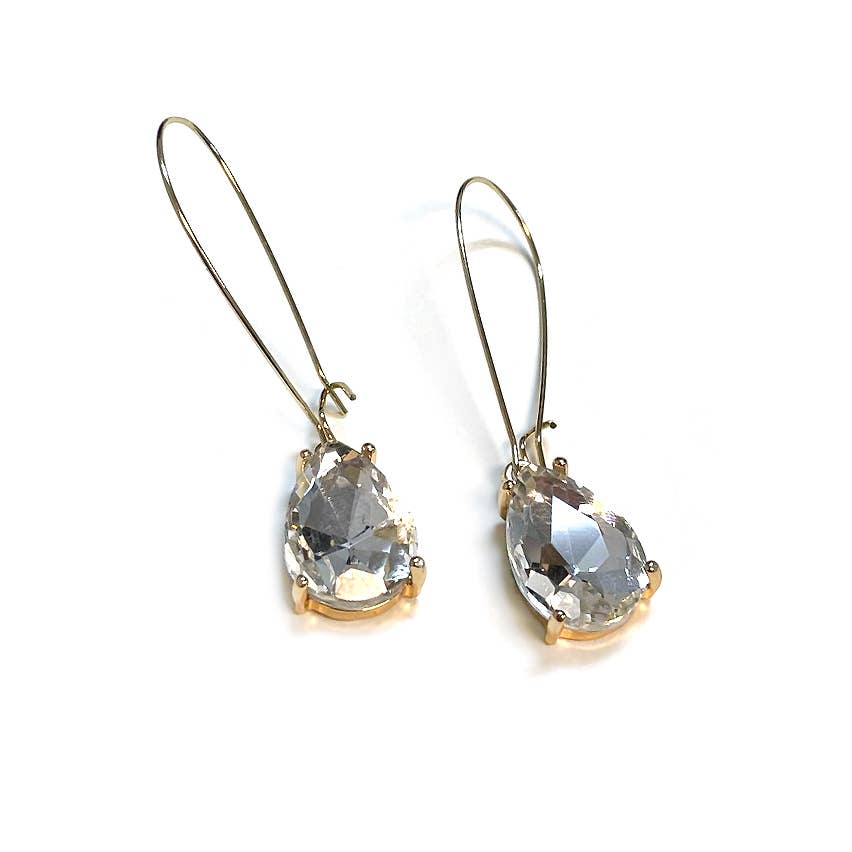 Teardrop Glass Bead  w/Kidney Wire Earrings
