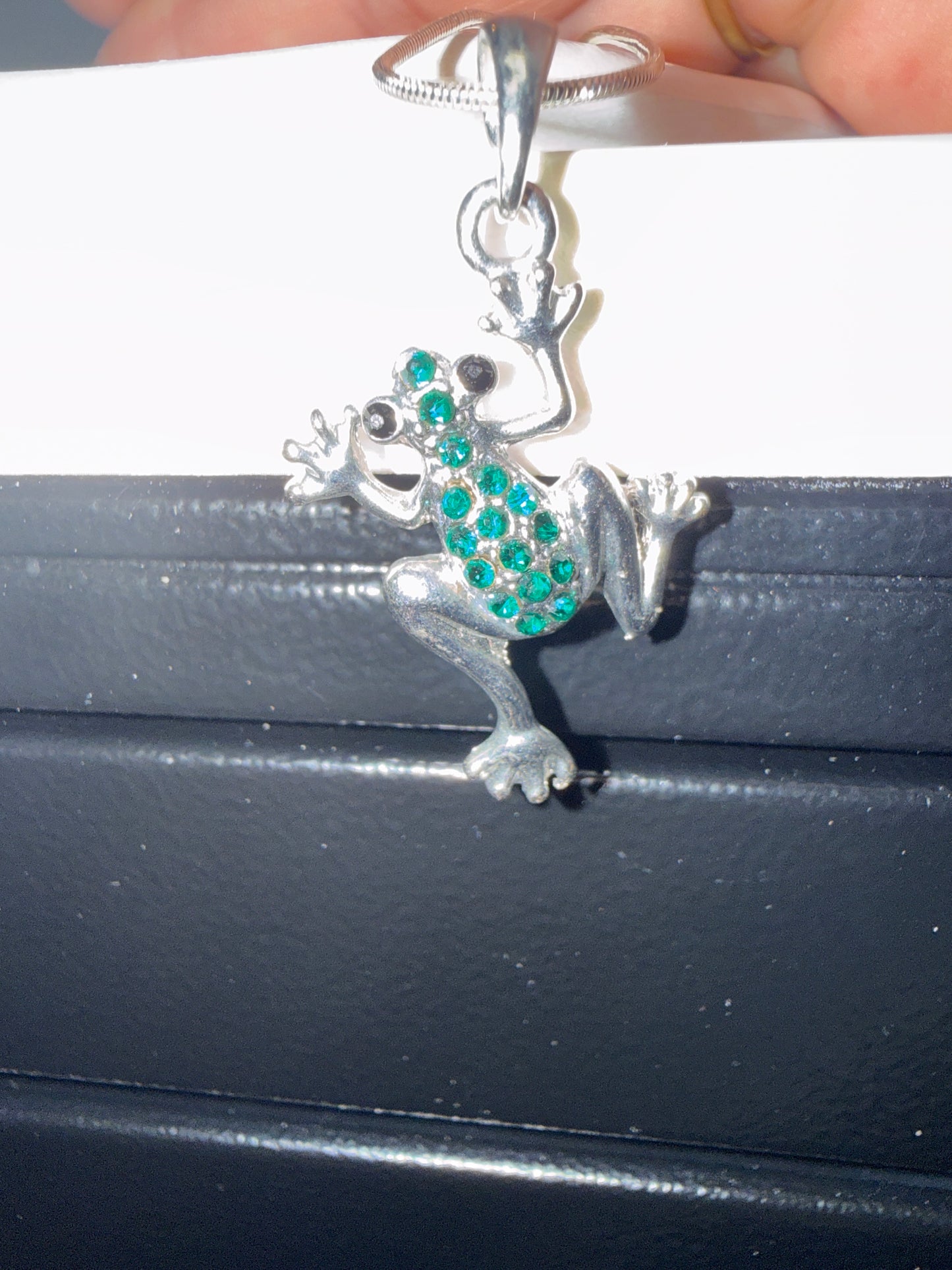 Silver Frog Necklace