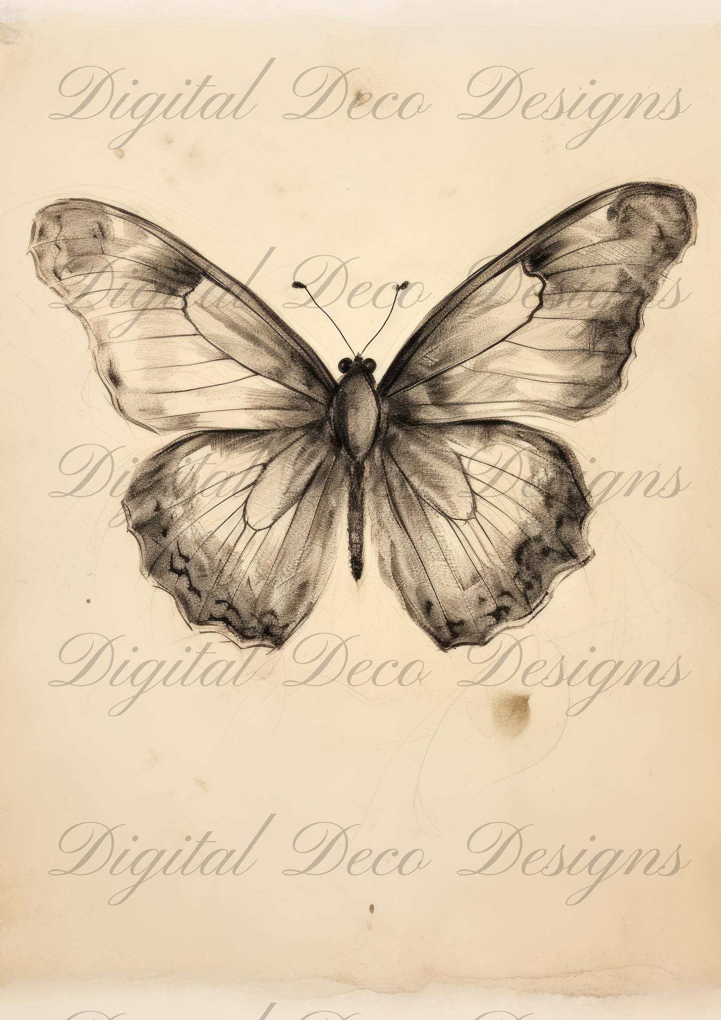 Vintage Spring Wall Art Butterfly M060