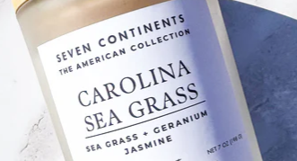 Carolina Sea Grass Car Mini Diffuser